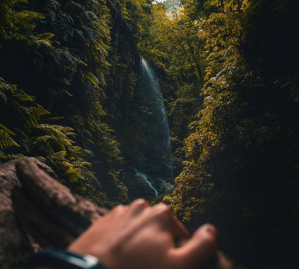 cristian-palmer-763347-unsplash